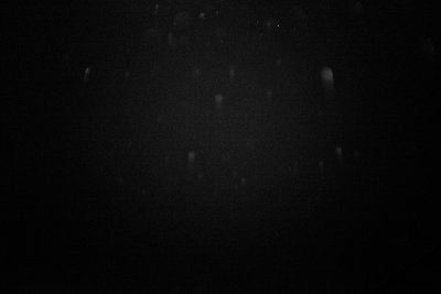 P051-005   &copy; Guy Woodland 2016