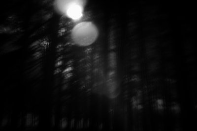 P053-038   &copy; Guy Woodland 2016