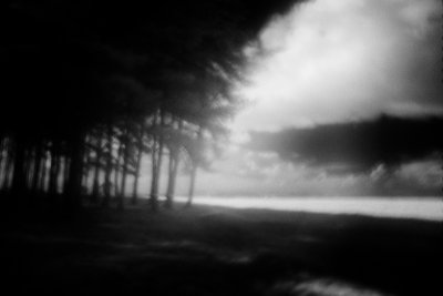 P053-039   © Guy Woodland 2016